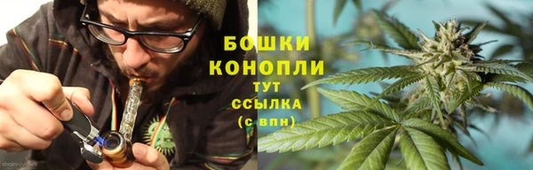 Альфа ПВП Пересвет