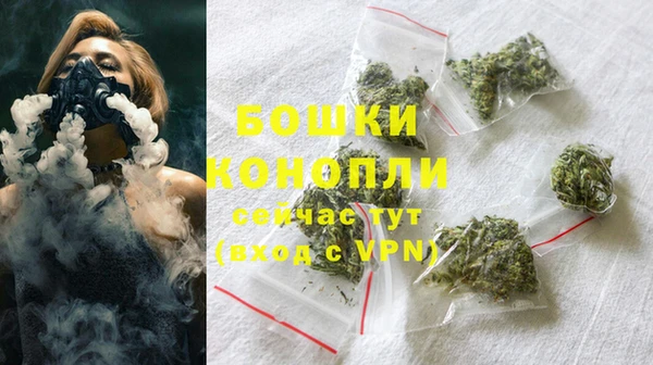 дживик Переславль-Залесский