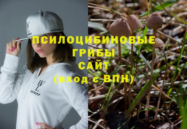 Альфа ПВП Пересвет