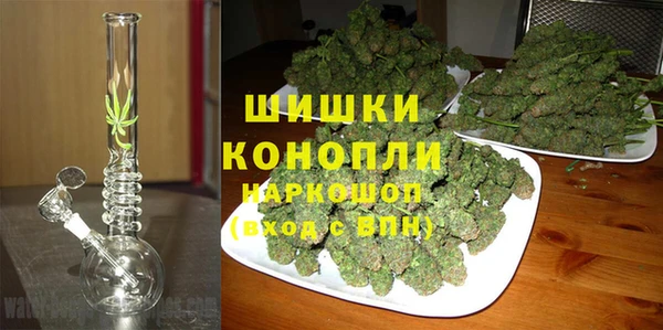 дживик Переславль-Залесский