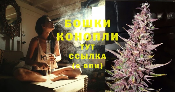мяу мяу мука Пестово