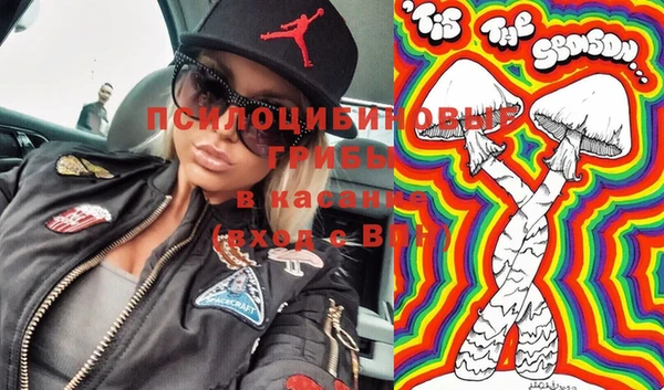 дживик Переславль-Залесский