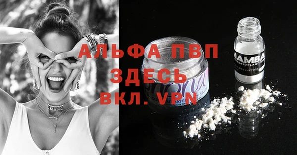 мяу мяу мука Пестово